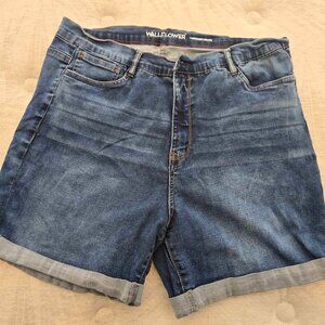 Wallflower Shorts Plus Size 22